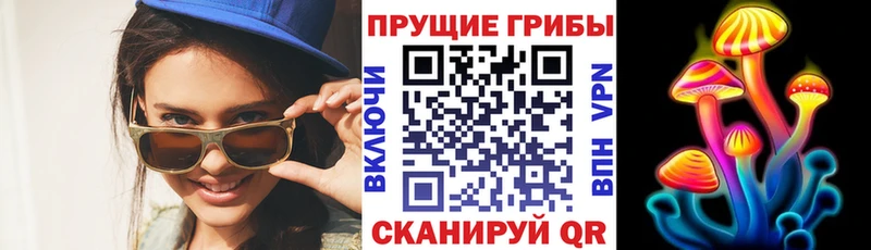 Галлюциногенные грибы Magic Shrooms  Купить  Рославль 